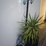 Laxuan Appartement *